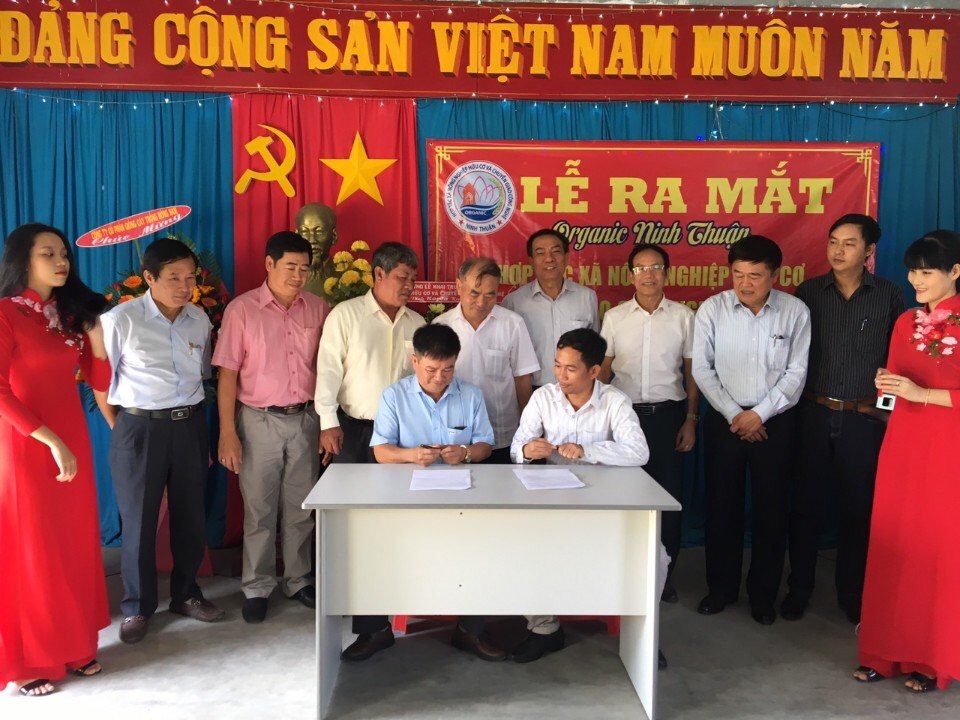 Ảnh tác nghiệp