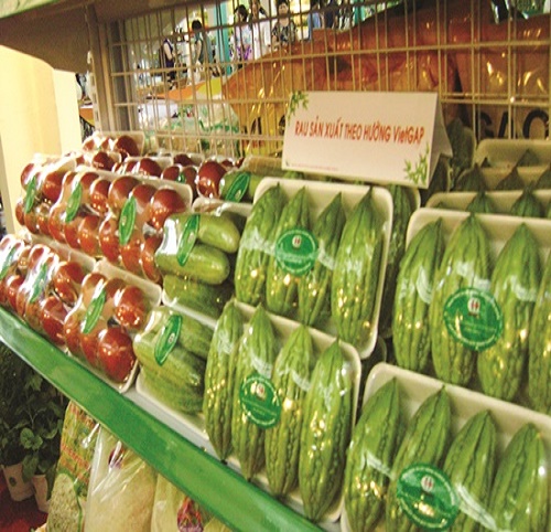 GREENCERT- CHỨNG NHẬN ISO HACCP VIETGAP HUU CO 