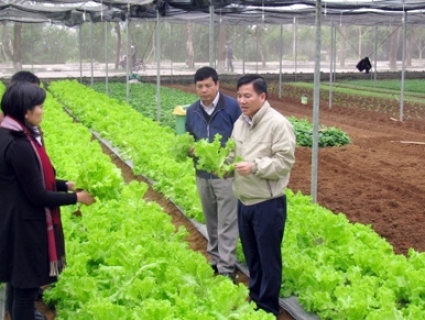 Hòa Bình: Tập trung phát triển về nông nghiệp hữu cơ