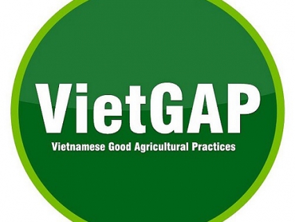 Tổng quan giới thiệu về tiêu chuẩn VietGAP