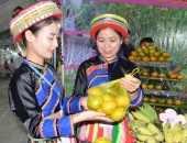 Tái cơ cấu ngành nông nghiệp để phát triển bền vững
