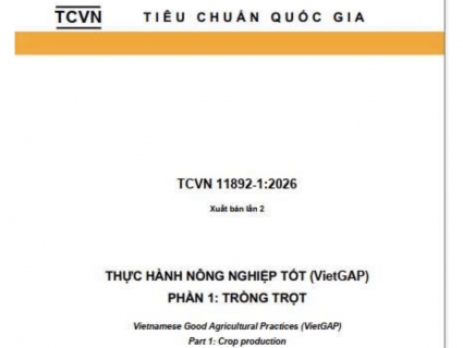 Tiêu chuẩn TCVN 11892-1:2026 (VietGAP Trồng trọt): Bước Tiếp Cận Mới, Tăng cường Hài Hòa Với Các Tiêu Chuẩn GAP Khu Vực Và Quốc Tế