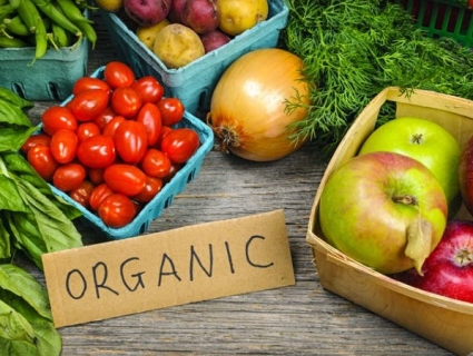 Tổng quan giới thiệu về Nông nghiệp hữu cơ - Organic